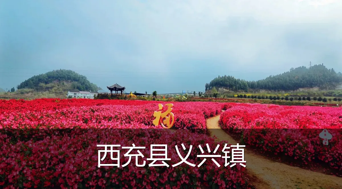 西充县义兴镇