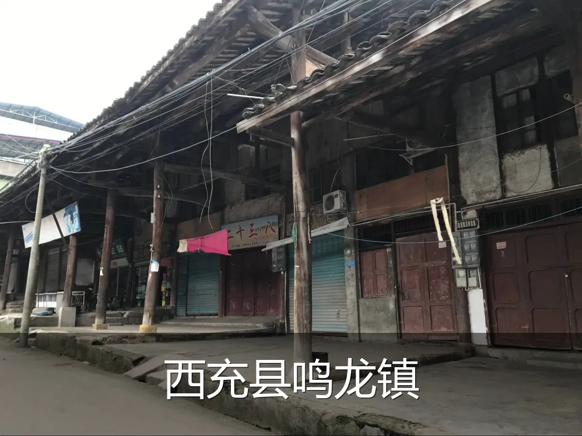 西充县鸣龙镇