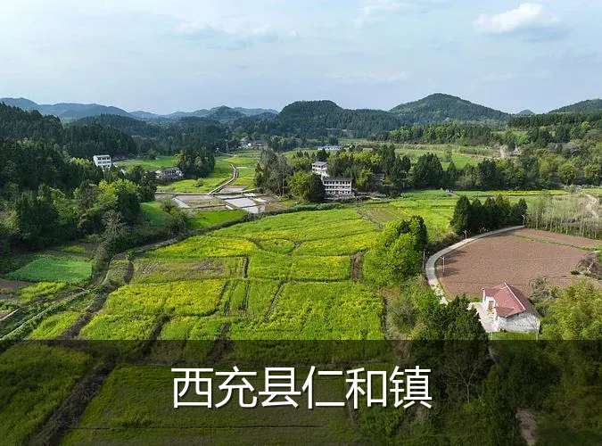西充县仁和镇