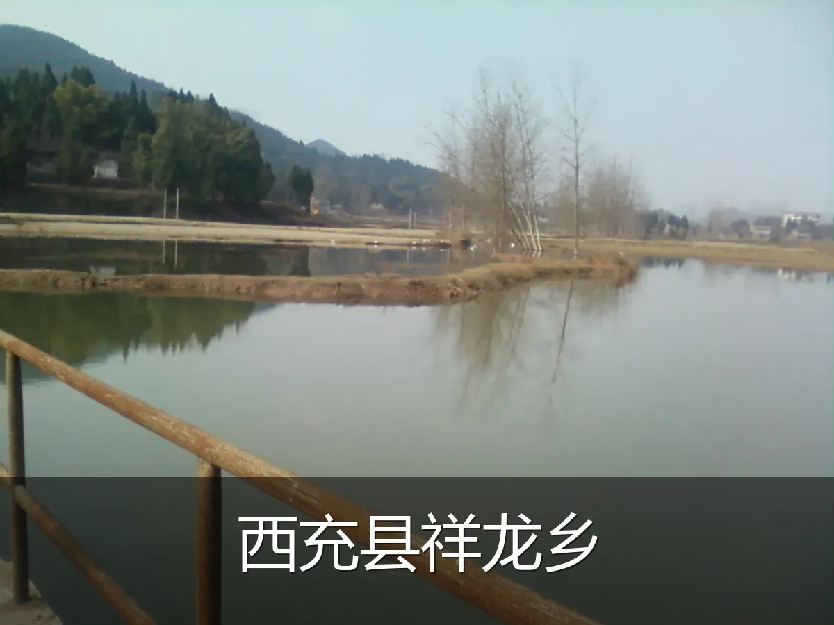 西充县祥龙乡